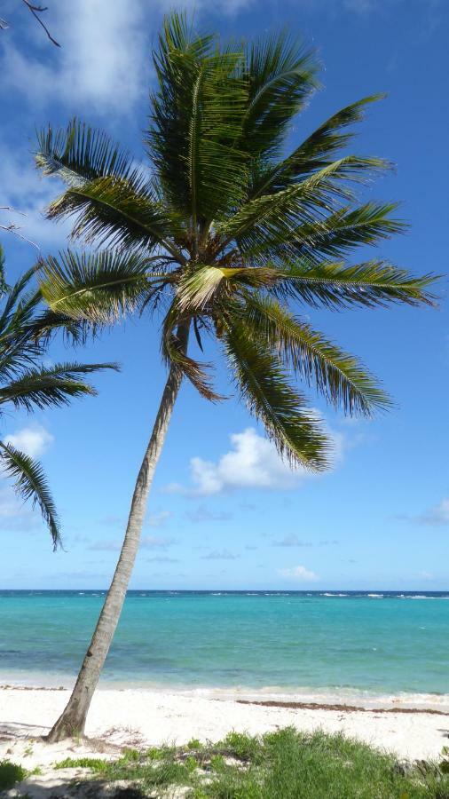 Appartement Proche De La Mer Ty Manganao サン・フランソワ エクステリア 写真