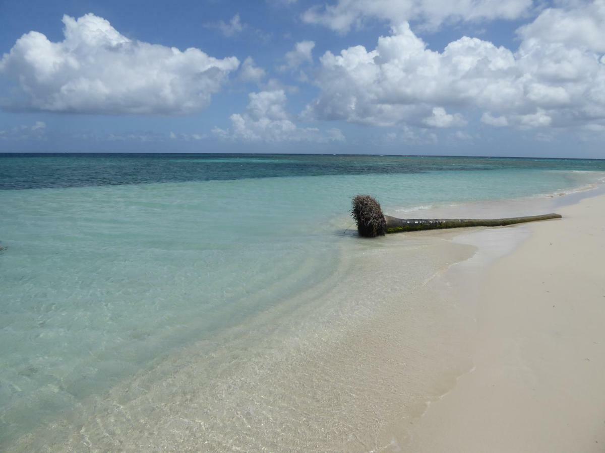 Appartement Proche De La Mer Ty Manganao サン・フランソワ エクステリア 写真